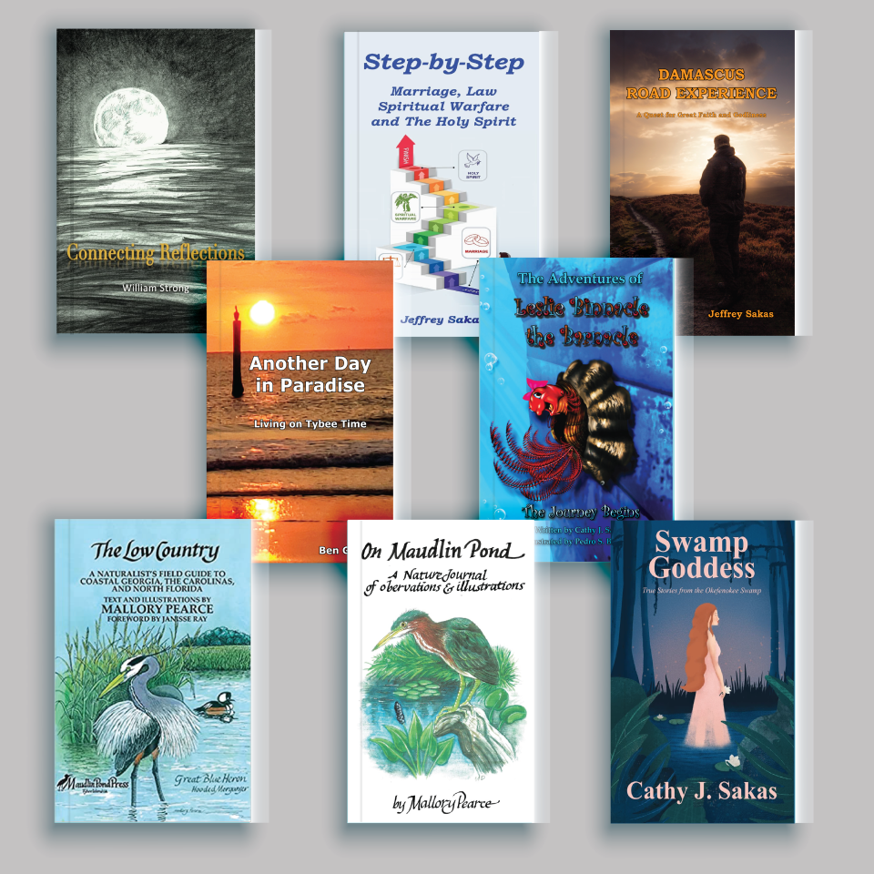 Maudlin Pond Press offers a number of books by local authors geared toward readers seeking a nice book on a quiet afternoon by the water.