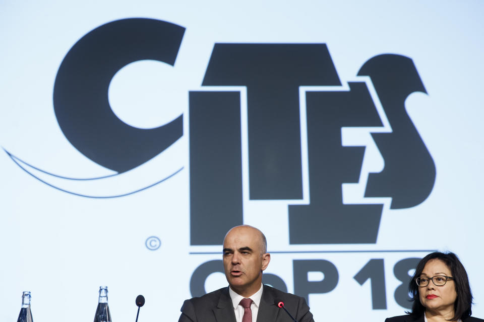 Swiss Interior Minister Alain Berset, center, sitting next to Ivonne Higuero, right, CITES Secretary-General ( Convention on International Trade in Endangered Species of Wild Fauna and Flora), delivers his statement, during the opening remarks of the World Wildlife Conference - CITES CoP18, in Geneva, Switzerland, Saturday, Aug. 17, 2019. (Salvatore Di Nolfi/Keystone via AP)