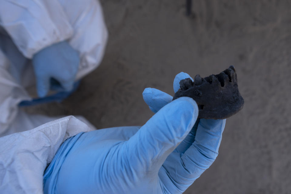 A forensic technician holds a charred jawbone found during an excavation on a plot of land referred to as a cartel "extermination site" where burned human remains are buried, on the outskirts of Nuevo Laredo, Mexico, Tuesday, Feb. 8, 2022. According to recent data from Mexico’s federal auditor, of more than 1,600 investigations into disappearances by authorities or cartels opened by the attorney general’s office, none made it to the courts in 2020. (AP Photo/Marco Ugarte)