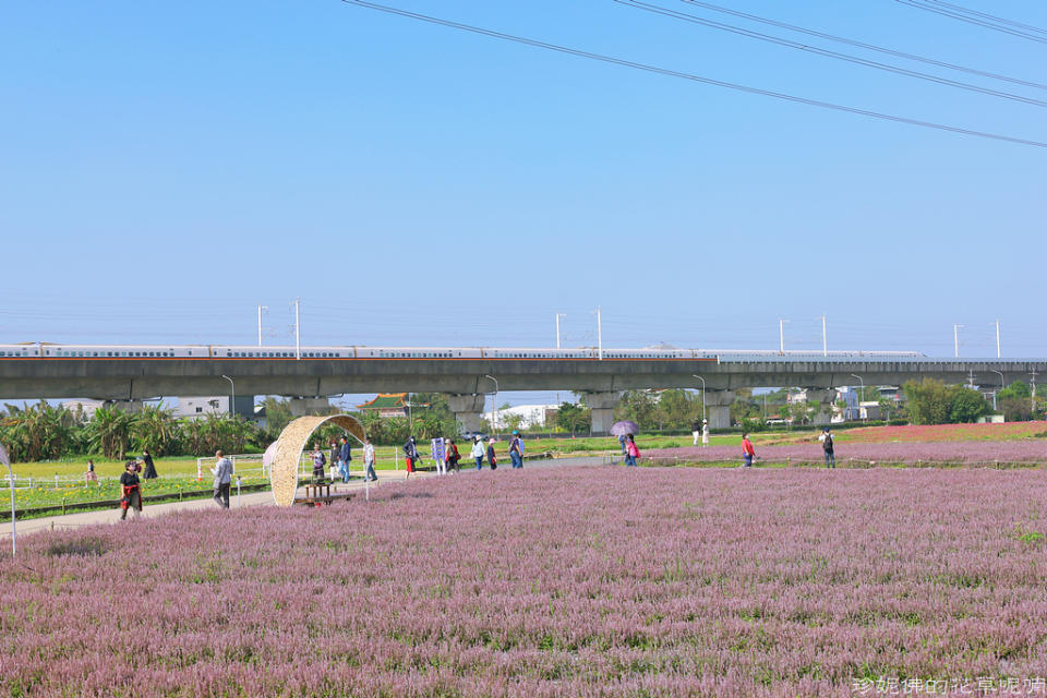 2022桃園仙草花節～仙茶之舞