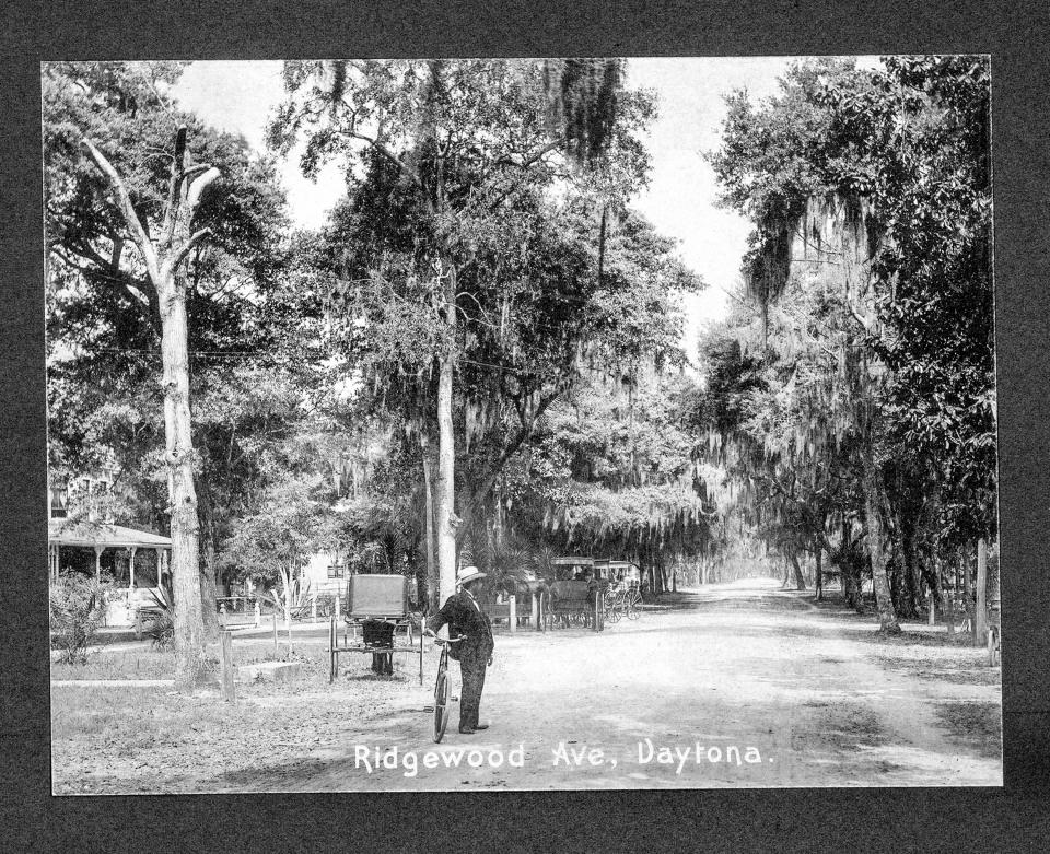 A bicyclist pauses on Ridgewood Avenue, Daytona.