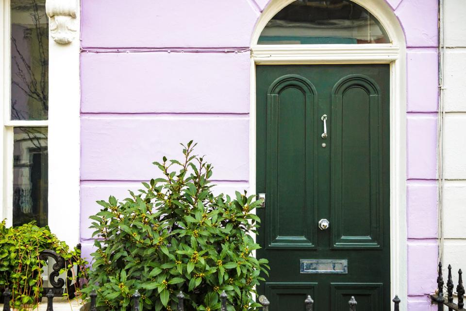 green front door with plant outside