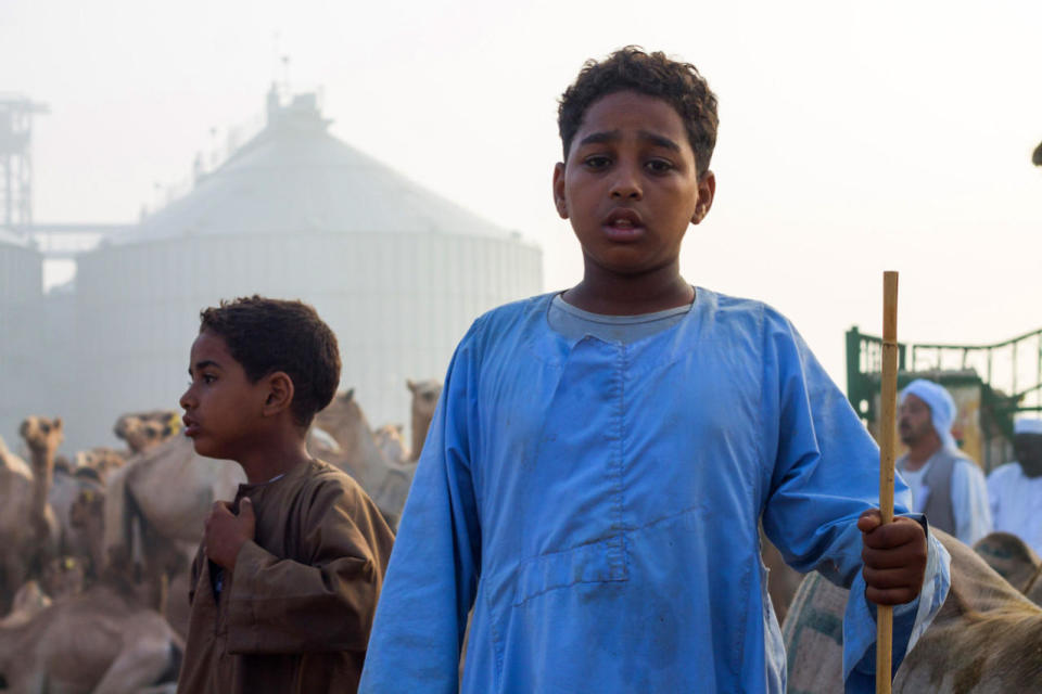 <p>Young vendor at the camel market in Birqash, Giza, 25 km,16 miles north of Cairo, Egypt, on August 26, 2016. (Photo: Fayed El-Geziry /NurPhoto via Getty Images)</p>