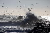 Gulls fly among the breaking surf after a winter storm in Manasquan, New Jersey, January 24, 2016. REUTERS/Dominick Reuter