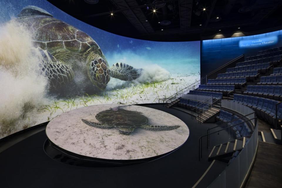 <div class="inline-image__caption"><p>The massive Honda Pacific Visions Theater</p></div> <div class="inline-image__credit">Tom Bonner/Aquarium of the Pacific</div>