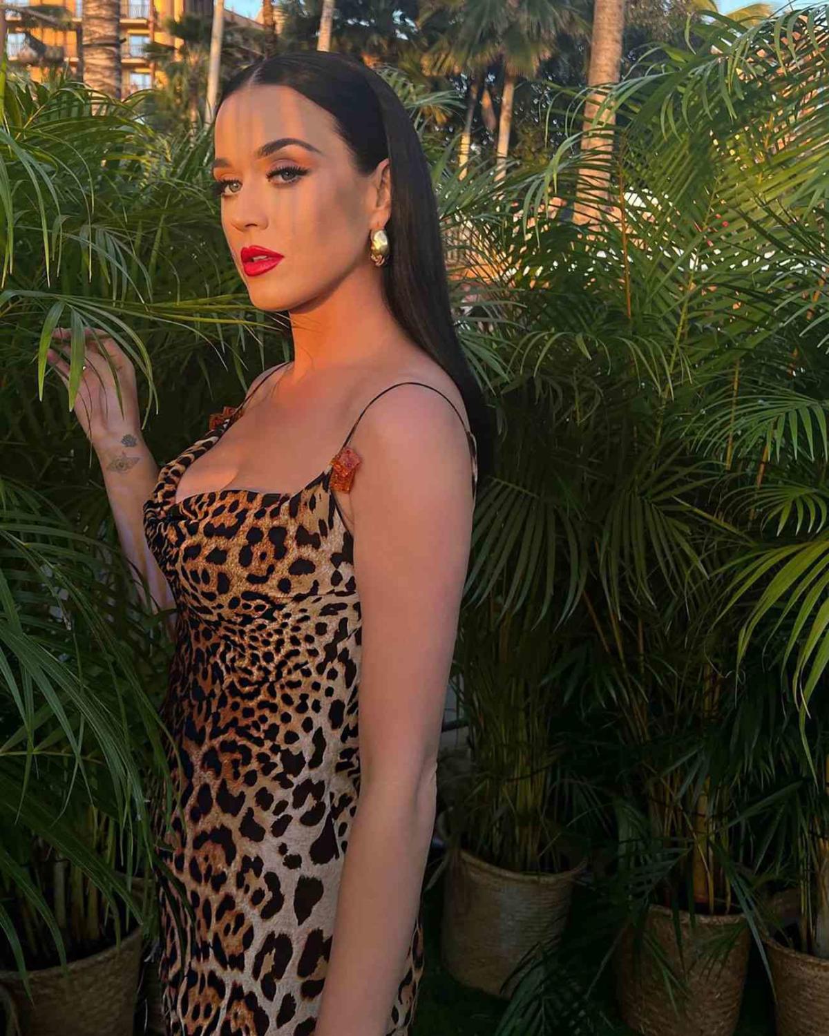 Katy Perry Drops New Song, 'Roar