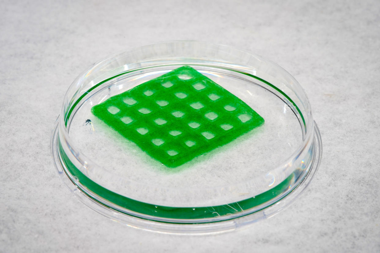 The 'waffle' is covered in genetically engineered bacteria that could clean pollution from water. ( David Baillot/UC San Diego Jacobs School of Engineering)