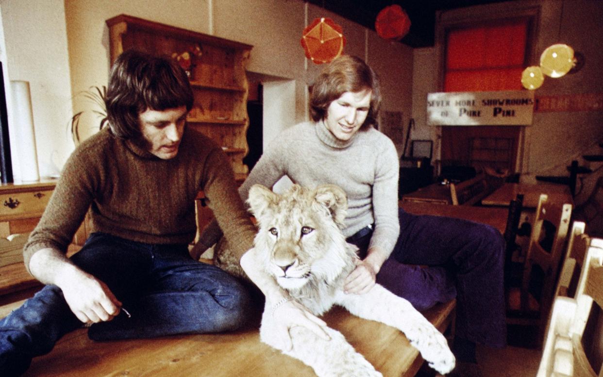 John Rendall, left, with Anthony Bourke and Christian the lion cub in the Sophisocat furniture store in the King's Road, 1970 - Derek Cattani/Shutterstock