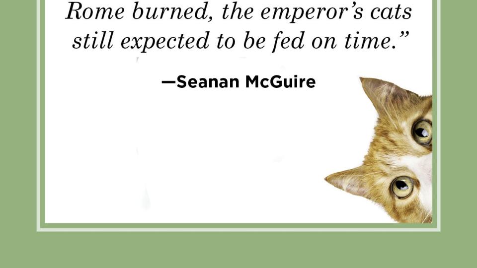 cat quote by seanan mcguire