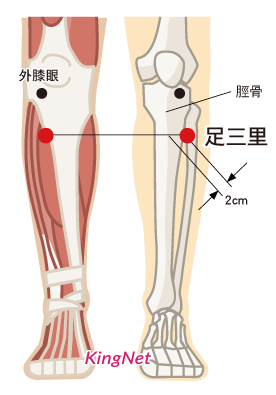 按摩足三里穴位