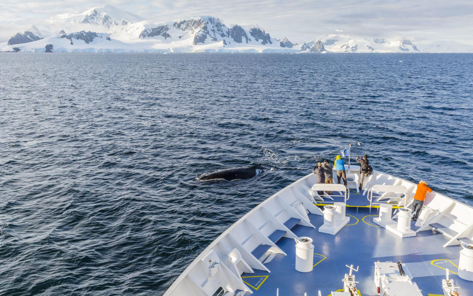 3. Lindblad Expeditions