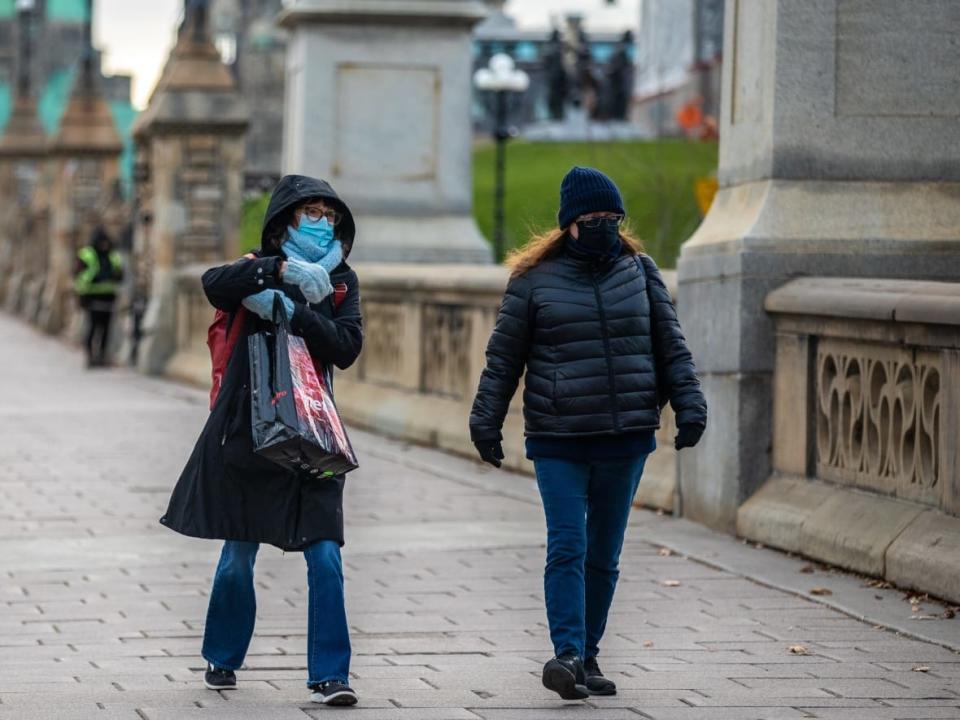 People walk along Wellington Street in Ottawa on Nov. 17, 2020, during the COVID-19 pandemic.  (Mathieu Theriault/CBC - image credit)