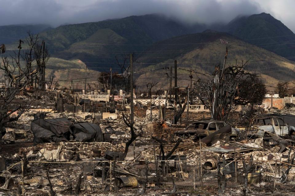 The aftermath of fires in Lahaina, Hawaii on August 21, 2023 (AP)