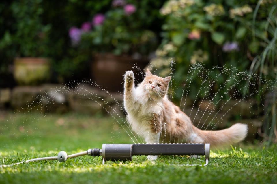  (Getty Images/iStockphoto)