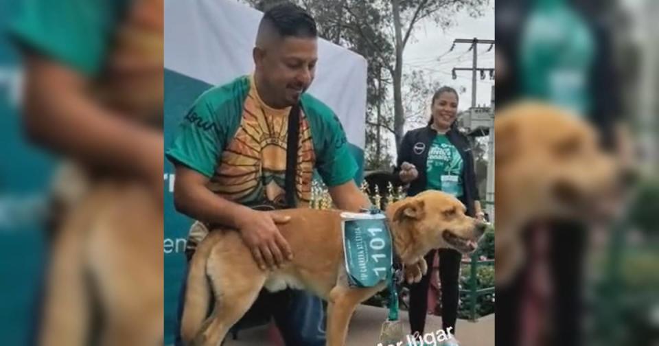 El Chicles, el perro que corre maratones, ya obtuvo su primera medalla de oro. Foto: captura de video TikTok vía @elchicles