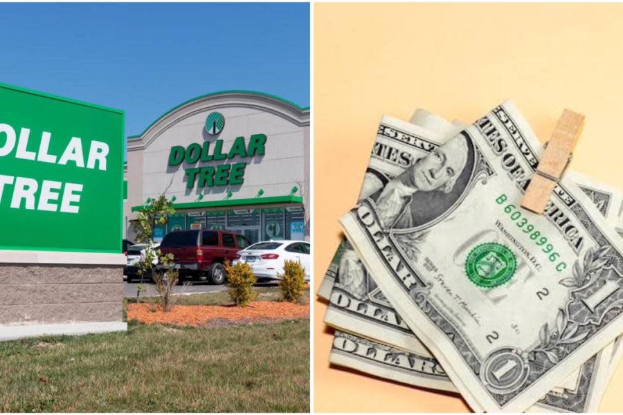 El secreto mejor guardado: artículos a buen precio en Dollar Tree antes del cierre de sucursales