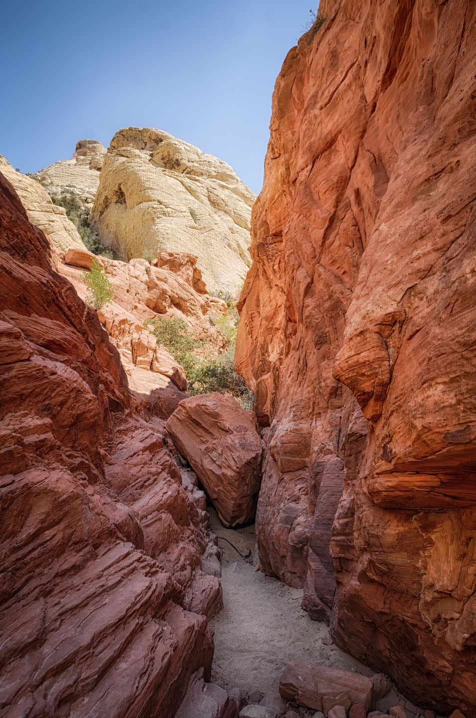 Nevada: Calico Tanks Trail