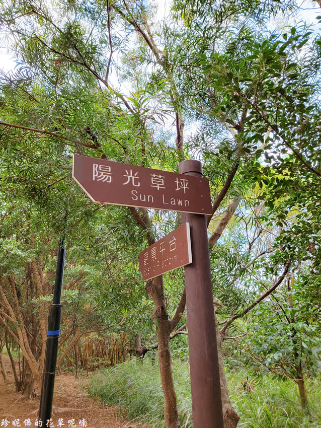 台中｜鰲峰山觀景平台