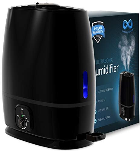 Everlasting Comfort Ultrasonic Humidifier (Amazon / Amazon)