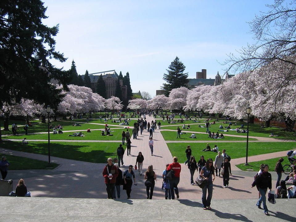 華盛頓大學 (Photo by Punctured Bicycle, Wikimedia Commons提供) 