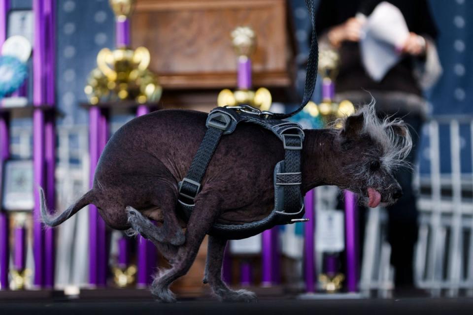  (AFP via Getty Images)