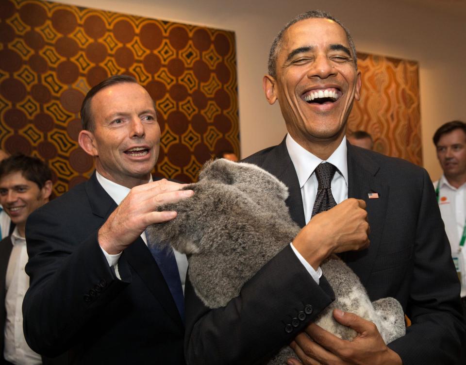 G20 Australia handout photo shows U.S. President Obama laughing as Australia's PM Abbott touches a koala he is holding before the G20 Leaders' Summit in Brisbane