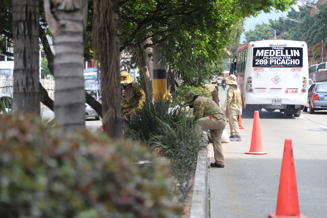 Citizen gardeners at work with plants in the center of the road while a bus drives by