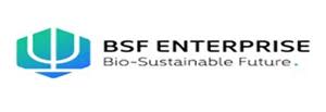 BSF Enterprise PLC