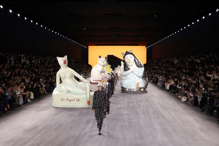 Cats inspired by artist Hylton Nel on the catwalk for Dior (GEOFFROY VAN DER HASSELT)