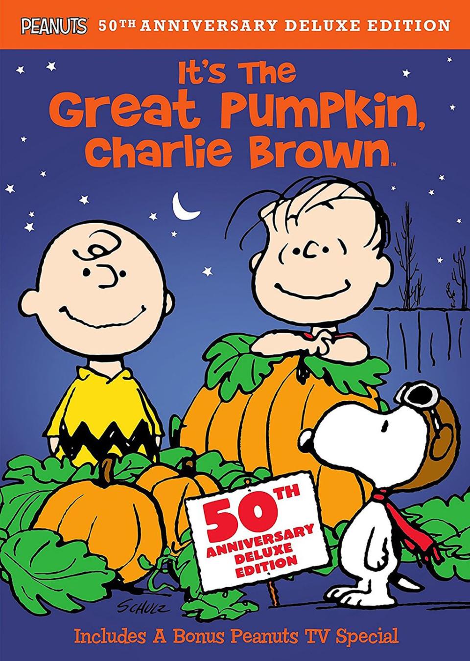 <p>Linus from Peanuts holds an all-night vigil to see the Great Pumpkin.</p><p><a rel="nofollow noopener" href="https://www.amazon.com/Its-Great-Pumpkin-Charlie-Brown/dp/B001IZ1PY6" target="_blank" data-ylk="slk:STREAM NOW;elm:context_link;itc:0;sec:content-canvas" class="link ">STREAM NOW</a><br></p>