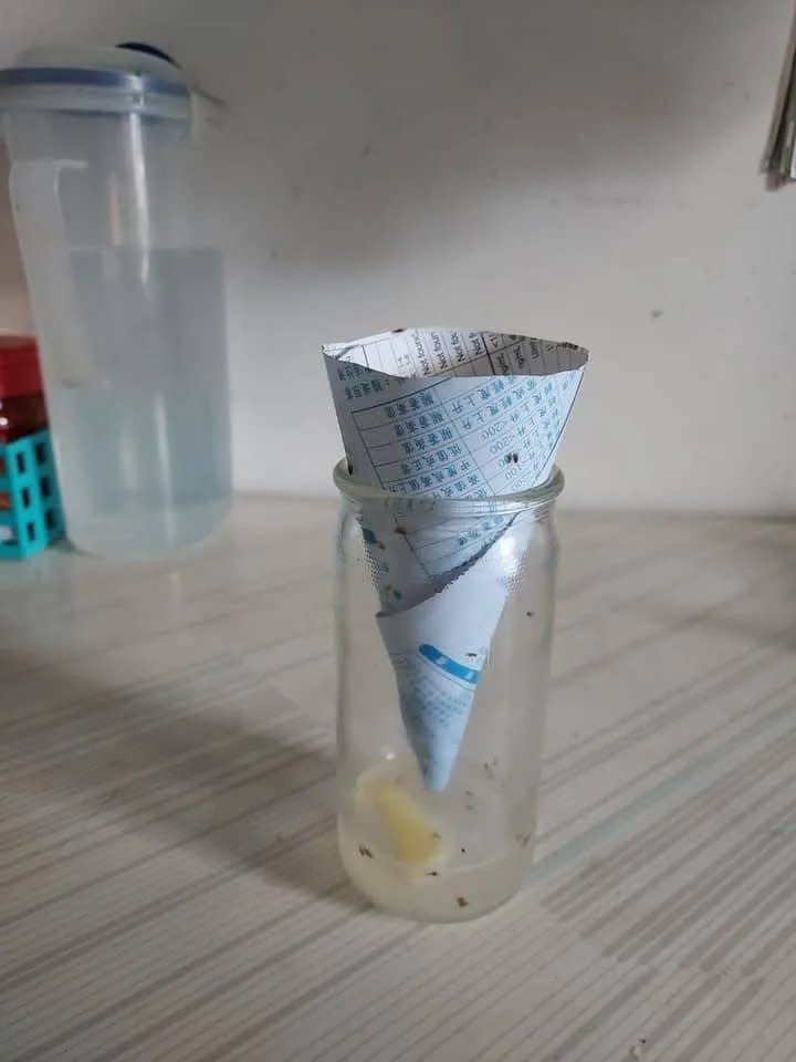 另有網友分享，捕果蠅神器：鳳梨汁。圖片來源：fb@木柵社團