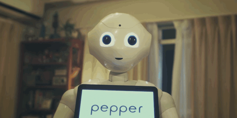 pepper peekaboo gif