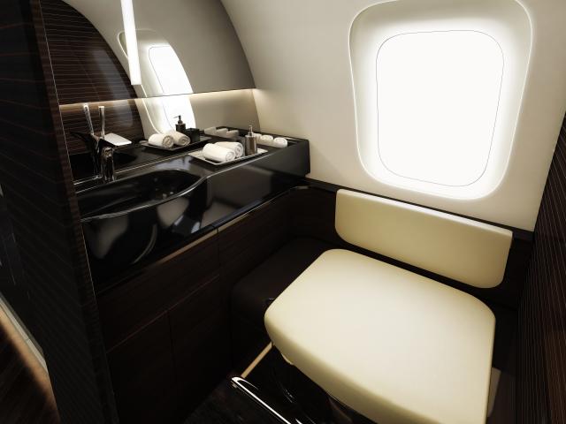 LVMH CEO Bernard Arnault recently sold his private aircraft so no one can  see where I go, and he now rents jets instead. Apple CEO Tim Cook also  only charters private jets