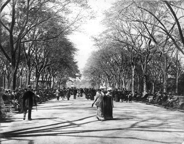 <p>Since the turn of the 20th century, New Yorkers and visitors alike have enjoyed strolling down The Mall in Central Park. </p>
