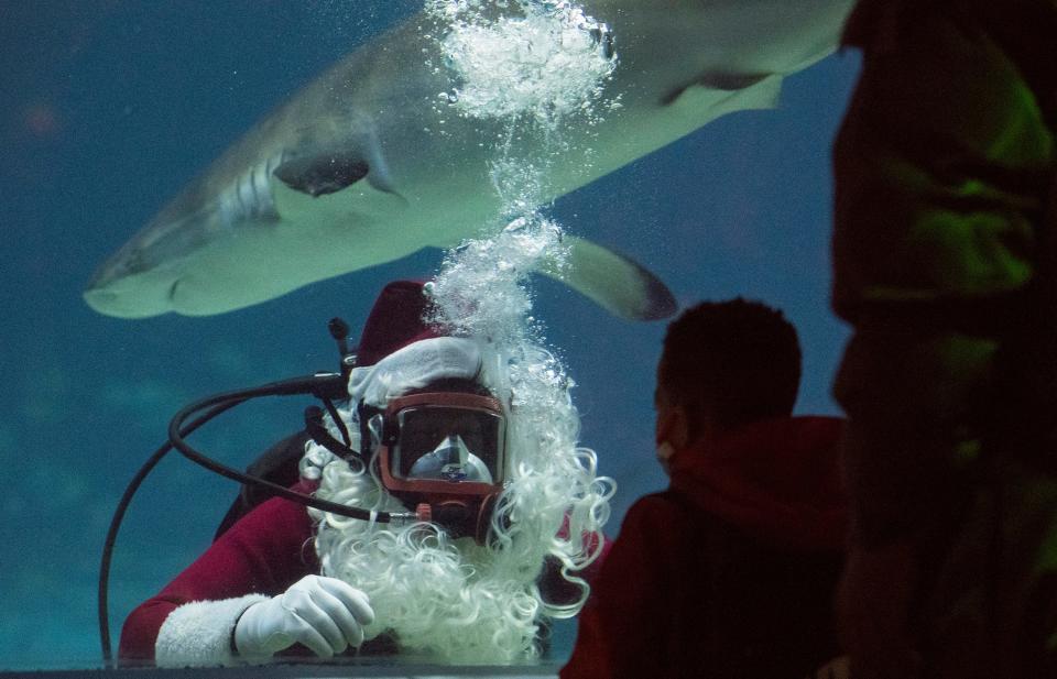 Scuba Santa interacts with guests as he dives in the Adventure Aquarium's Ocean Realm exhibit during the aquarium's Christmas Underwater event in this Courier Post file photo. The Christmas Underwater event runs through December 24.