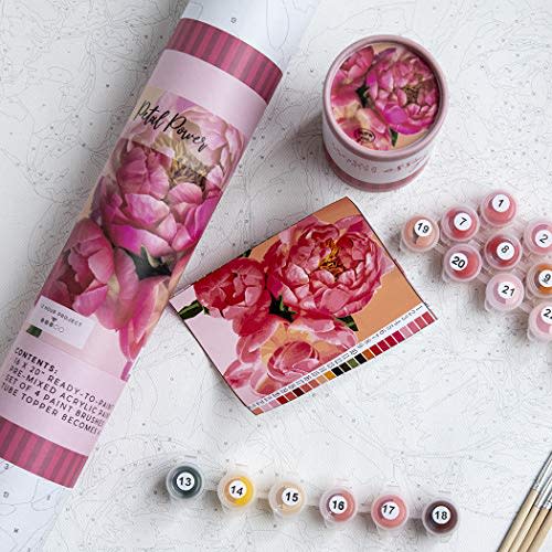 Pink Picasso Paint by Numbers Kit