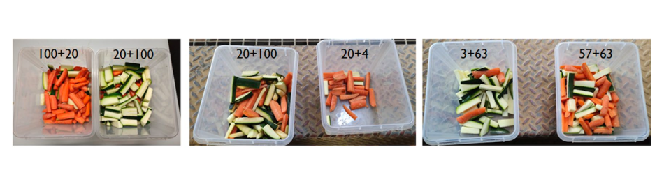 Each test of the experiment used different stimuli. Left to right: test 1, test 2 and test 3. Alvaro L. Caicoya et al/Scientific Reports