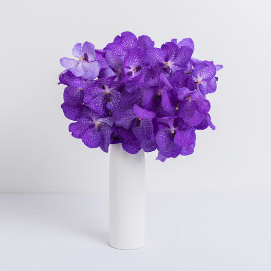 <p><a href="https://go.redirectingat.com?id=74968X1596630&url=https%3A%2F%2Fwww.odealarose.com%2Fproduct%2Fpurple-orchids-delivery-38303&sref=https%3A%2F%2Fwww.womenshealthmag.com%2Flife%2Fg43840994%2Fbest-mothers-day-flower-delivery-services%2F" rel="nofollow noopener" target="_blank" data-ylk="slk:Shop Now;elm:context_link;itc:0;sec:content-canvas" class="link ">Shop Now</a></p><p>Farm Fresh Vanda Orchids + Vase</p><p>$139.99</p><p>odealarose.com</p>