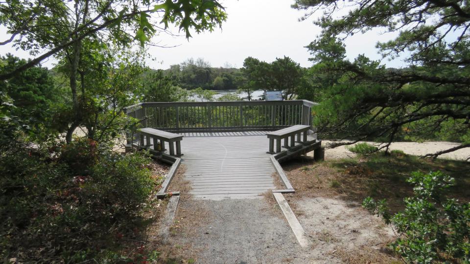 The observation deck at the  Shank Painter Pond Wildlife Sanctuary in Provincetown.