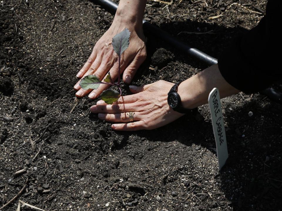 gardening