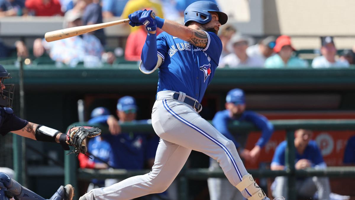 Toronto Blue Jays Park Bench