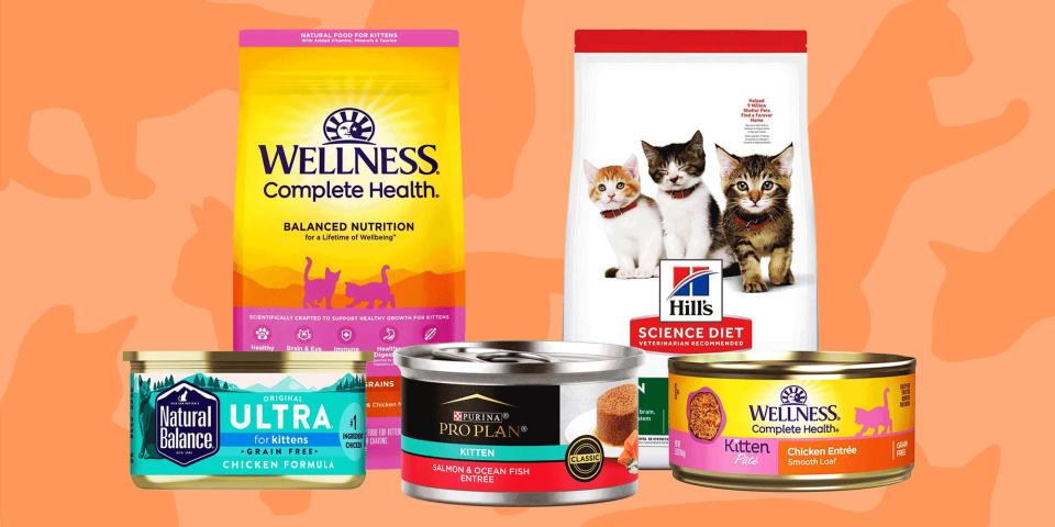 Three cans of cat food and two bags from Wellness, Hill's, Purina, and Natural Balance on an orange background patterned with cat silhouettes.