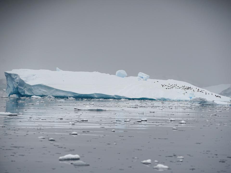 Iceberg in Antarctica