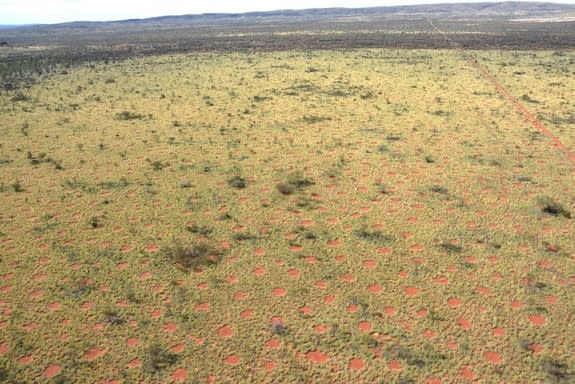 Circular barren patches of land, called fairy circles, dot the Australian Outback (seen in this aerial image).