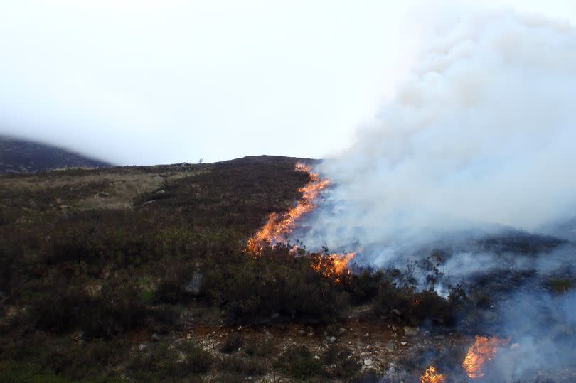 Stock image of a wildfire on the Mourne Mountains in Co Down