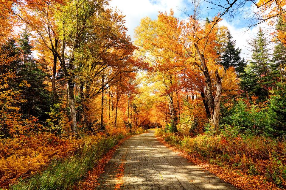 Autumn road in the White Mountains National Forest region of New Hampshire