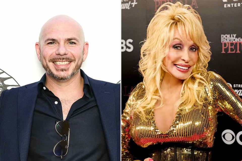 <p>Jared Siskin/Getty; Jon Morgan/CBS via Getty</p> Pitbull and Dolly Parton