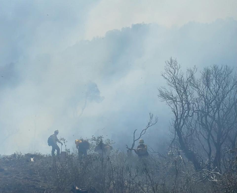 Firefighters conduct controlled burns in the Shasta-Trinity National Forest on April 16, 2023.