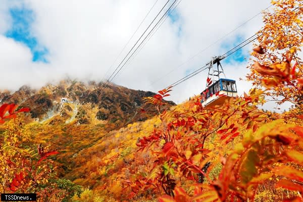 日本立山黑部秋季賞楓纜車。（圖：可樂旅遊提供）