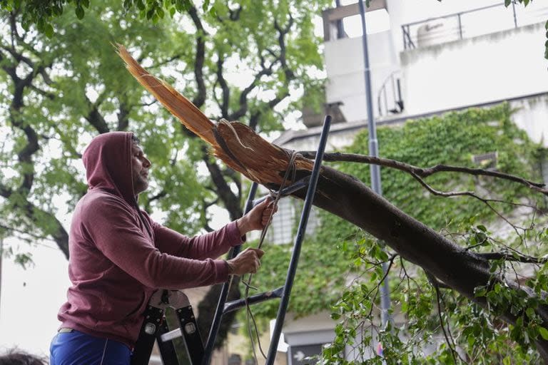 Vecinos intentan sacar ramas de un árbol que cayeron sobre un auto en la esquina de Díaz Colodrero y Manuela Pedraza, en Villa urquiza